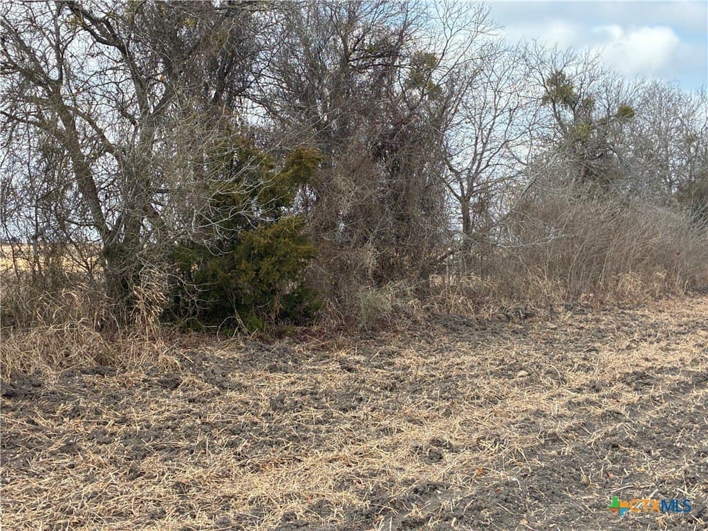 10.04 acres in Milam County - photo 5