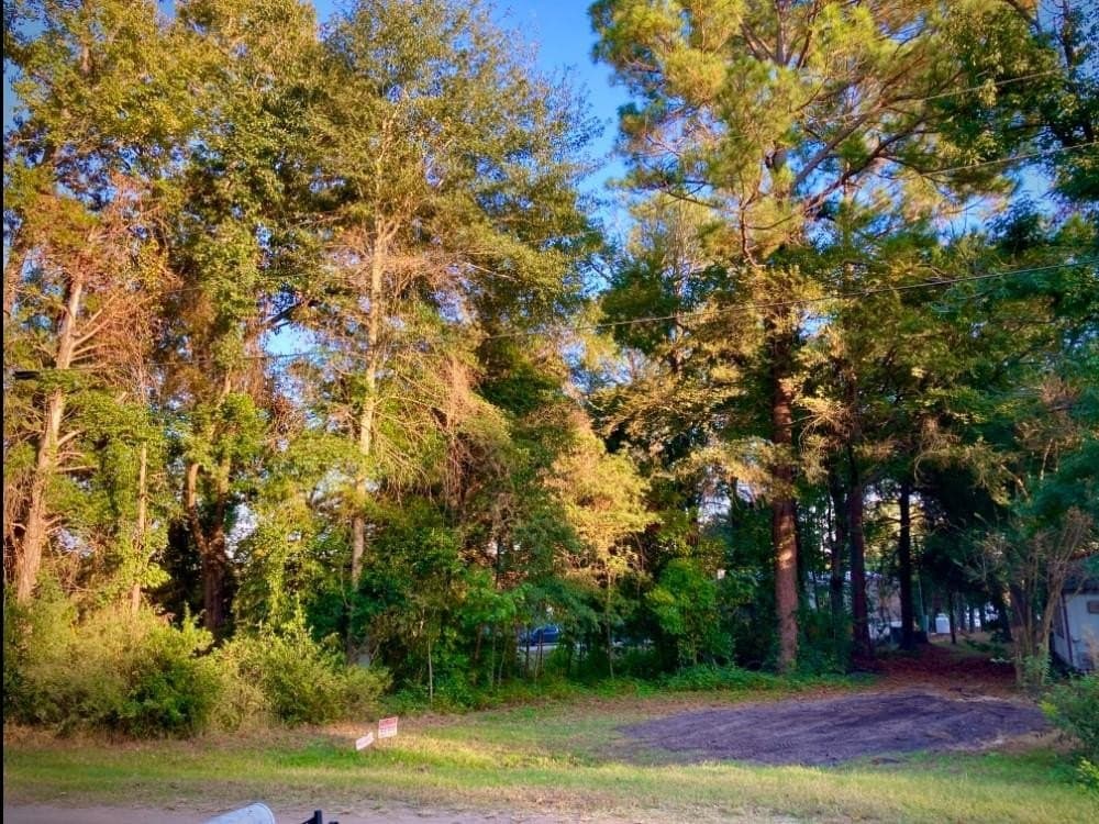 0.18 acres in Van Zandt County - photo 2