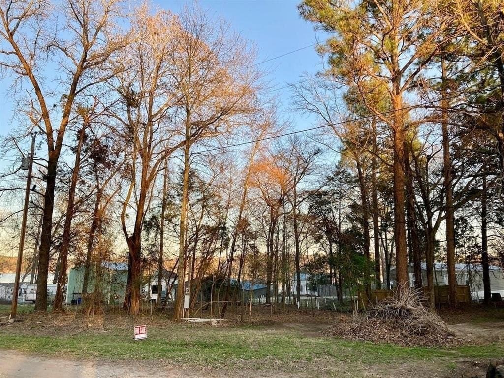 0.18 acres in Van Zandt County - photo 5