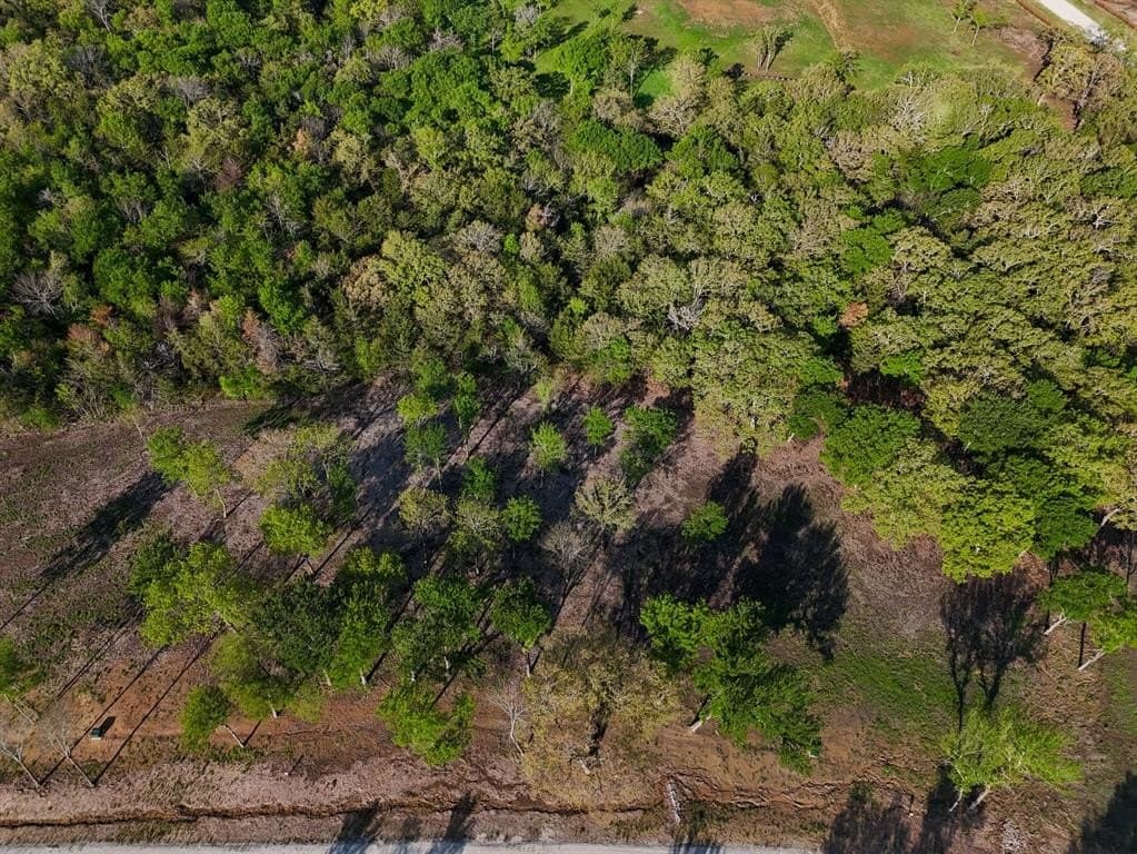 1.18 acres in Fannin County - photo 29