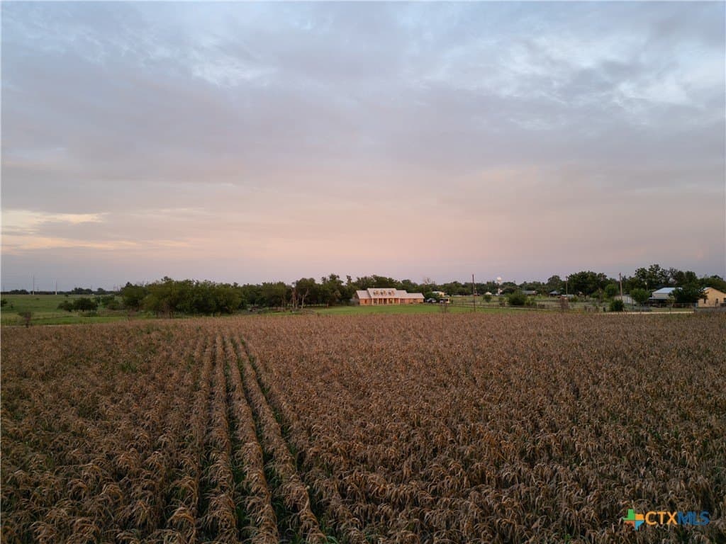 15.04 acres in Bell County - photo 10