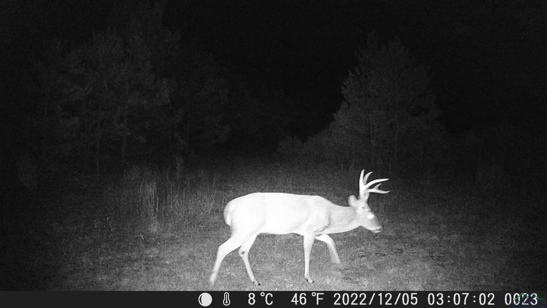 60.64 acres in Panola County - photo 47