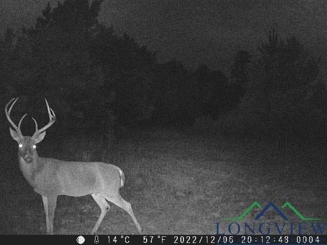 60.64 acres in Panola County - photo 45