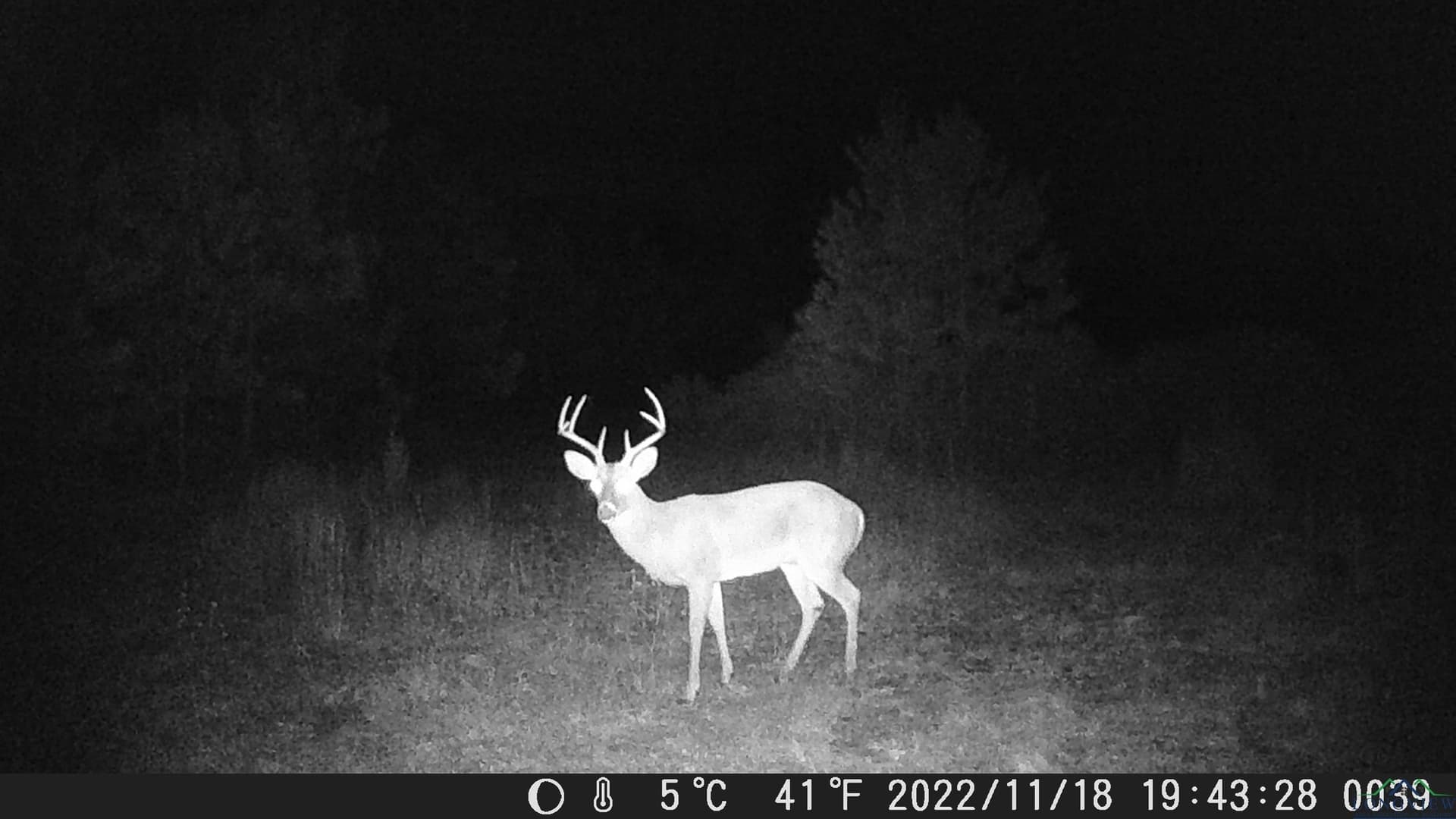 60.64 acres in Panola County - photo 48