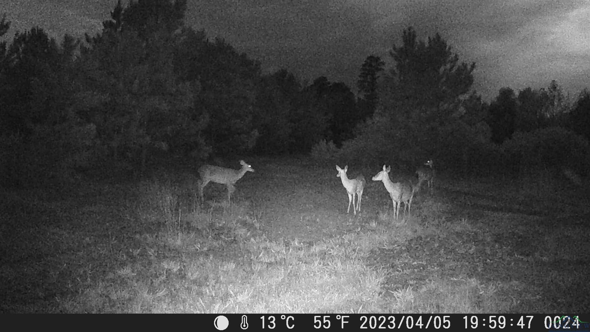 60.64 acres in Panola County - photo 49