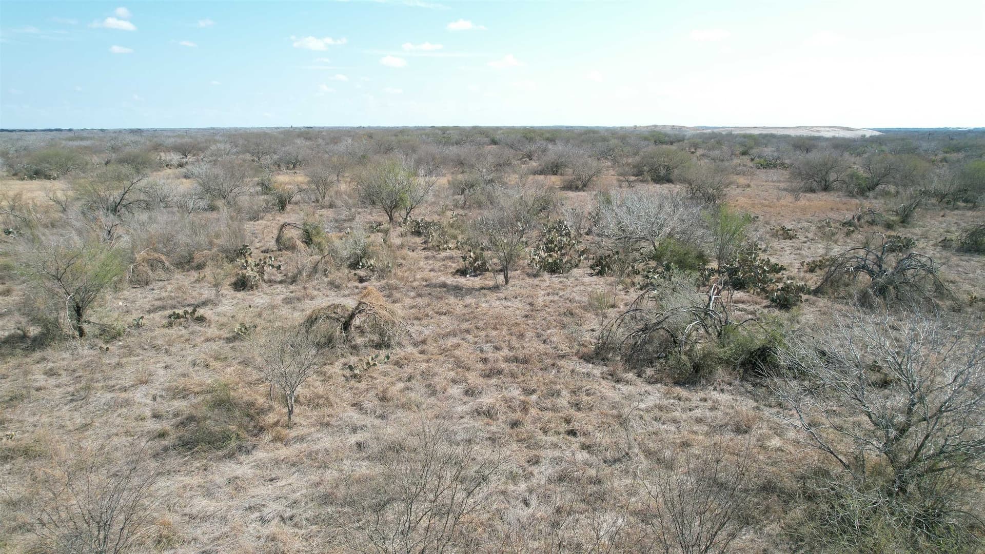 25 acres in Jim Wells County - photo 4