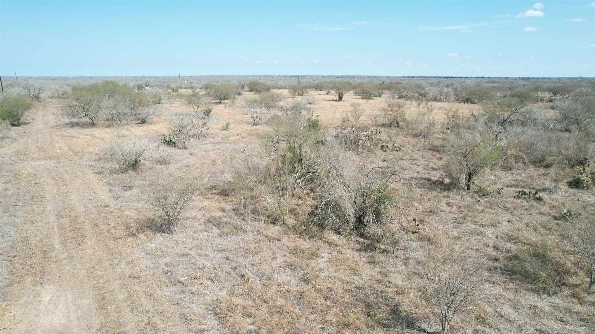 25 acres in Jim Wells County - photo 3