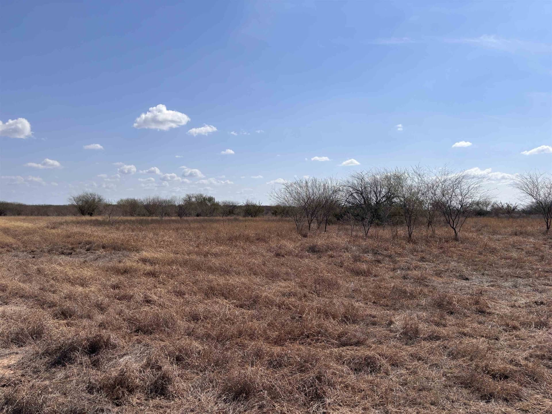 25 acres in Jim Wells County - photo 7