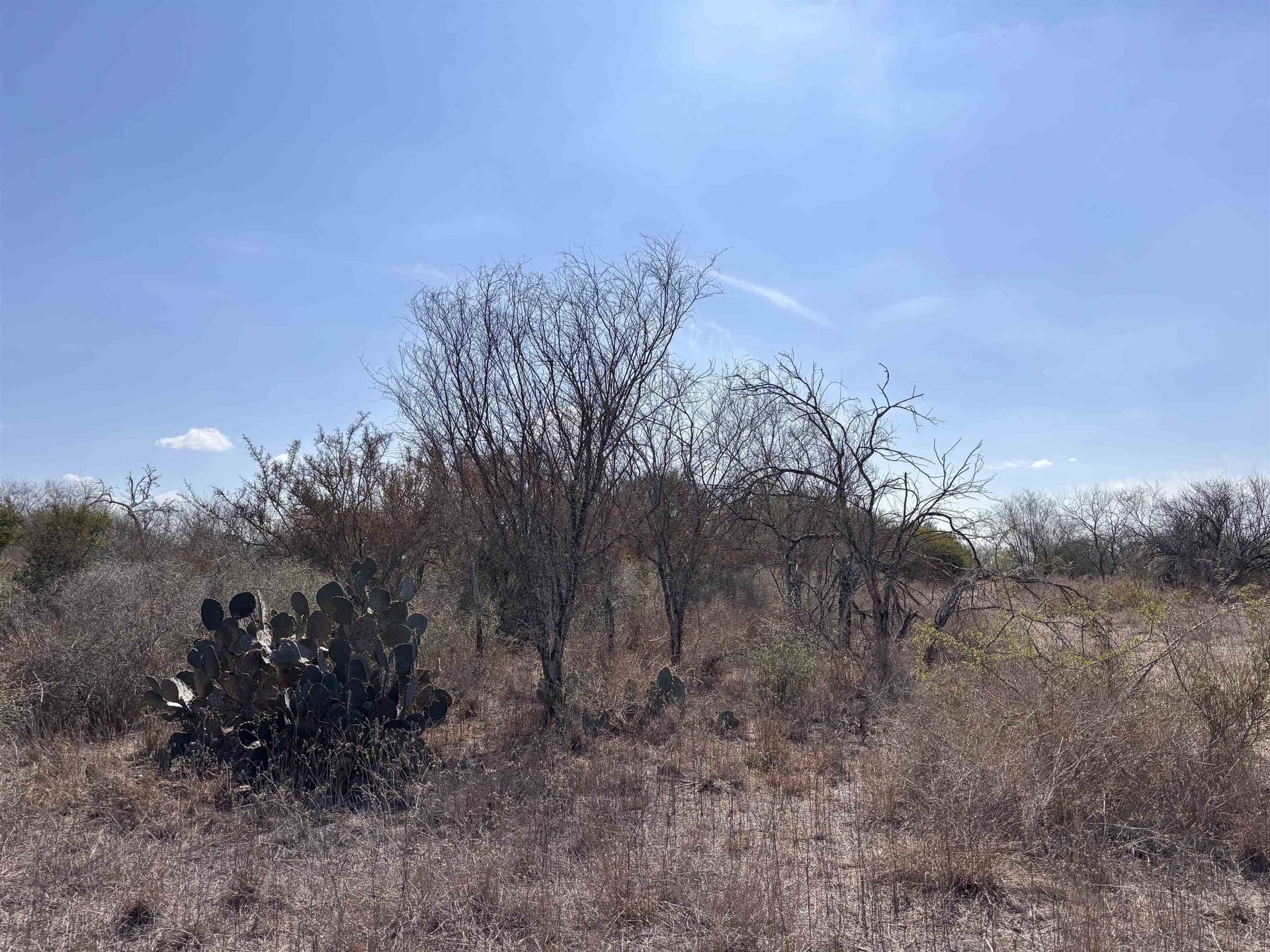 25 acres in Jim Wells County - photo 8