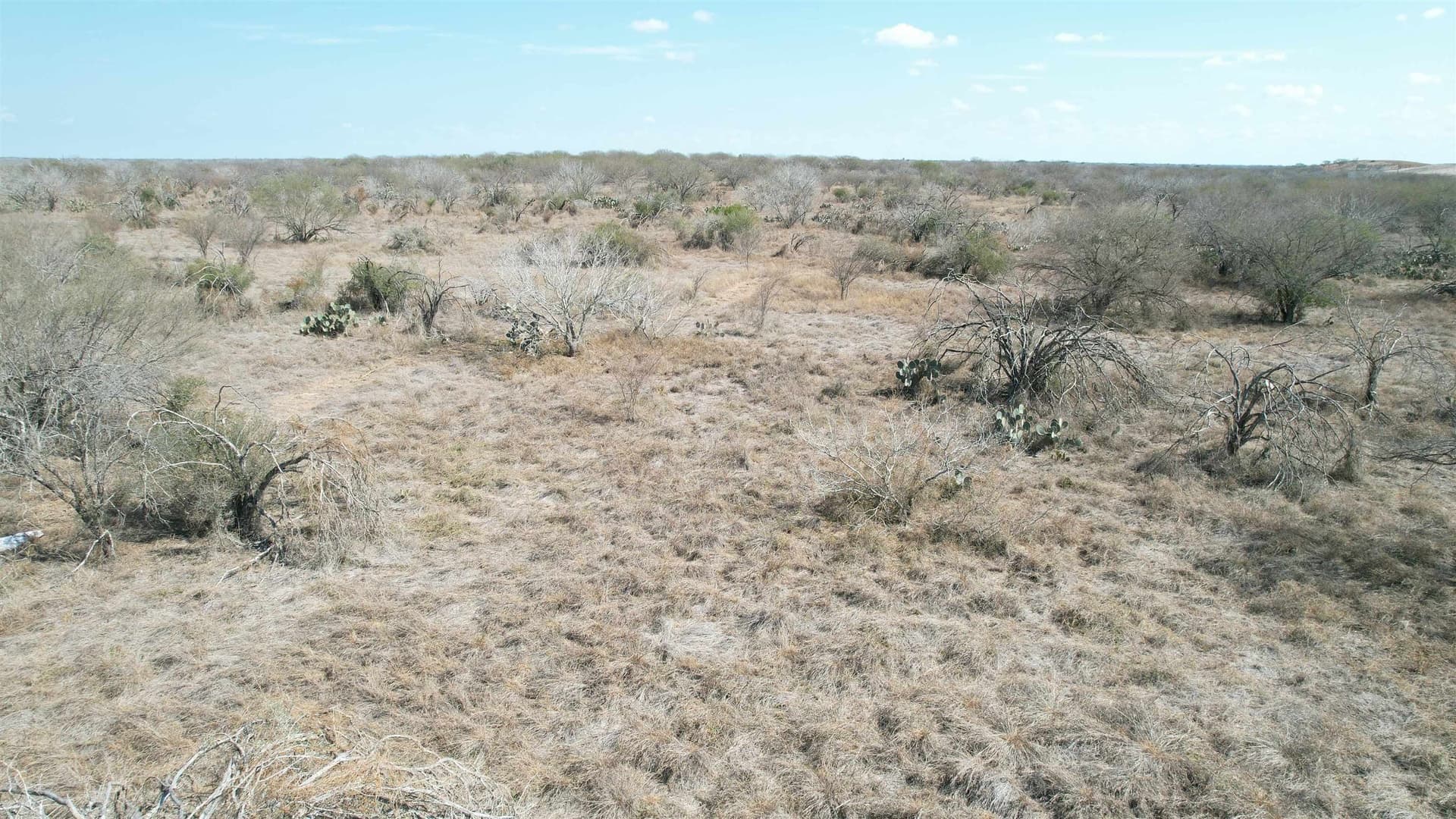 25 acres in Jim Wells County - photo 9