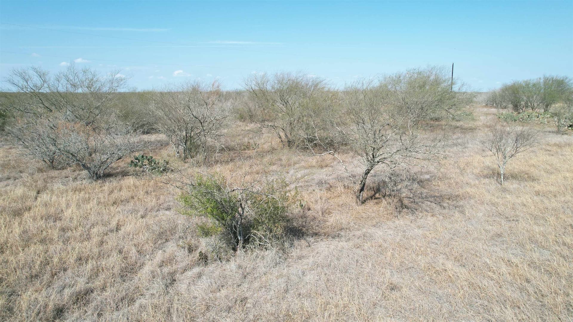 25 acres in Jim Wells County - photo 6