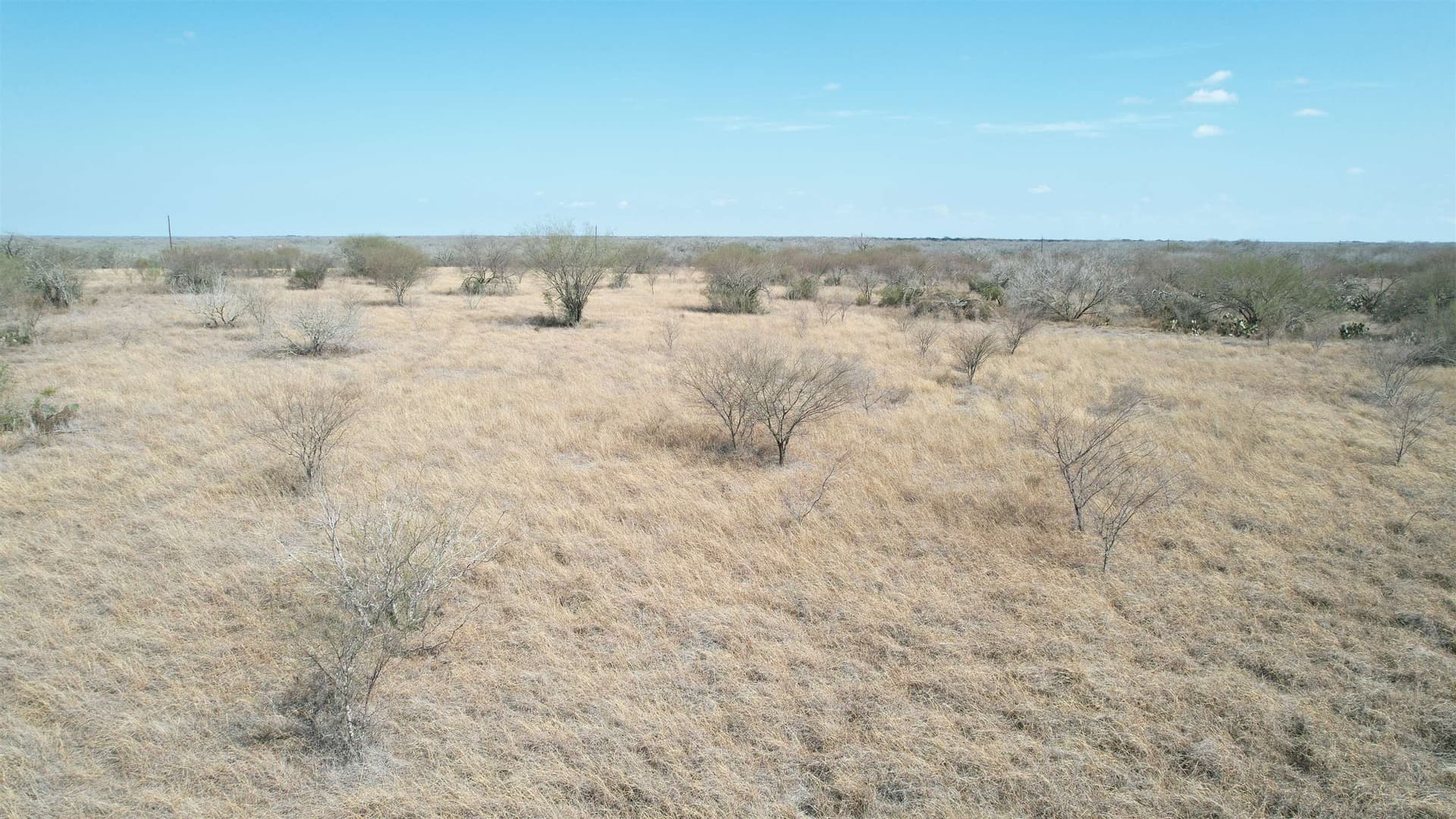 25 acres in Jim Wells County - photo 2