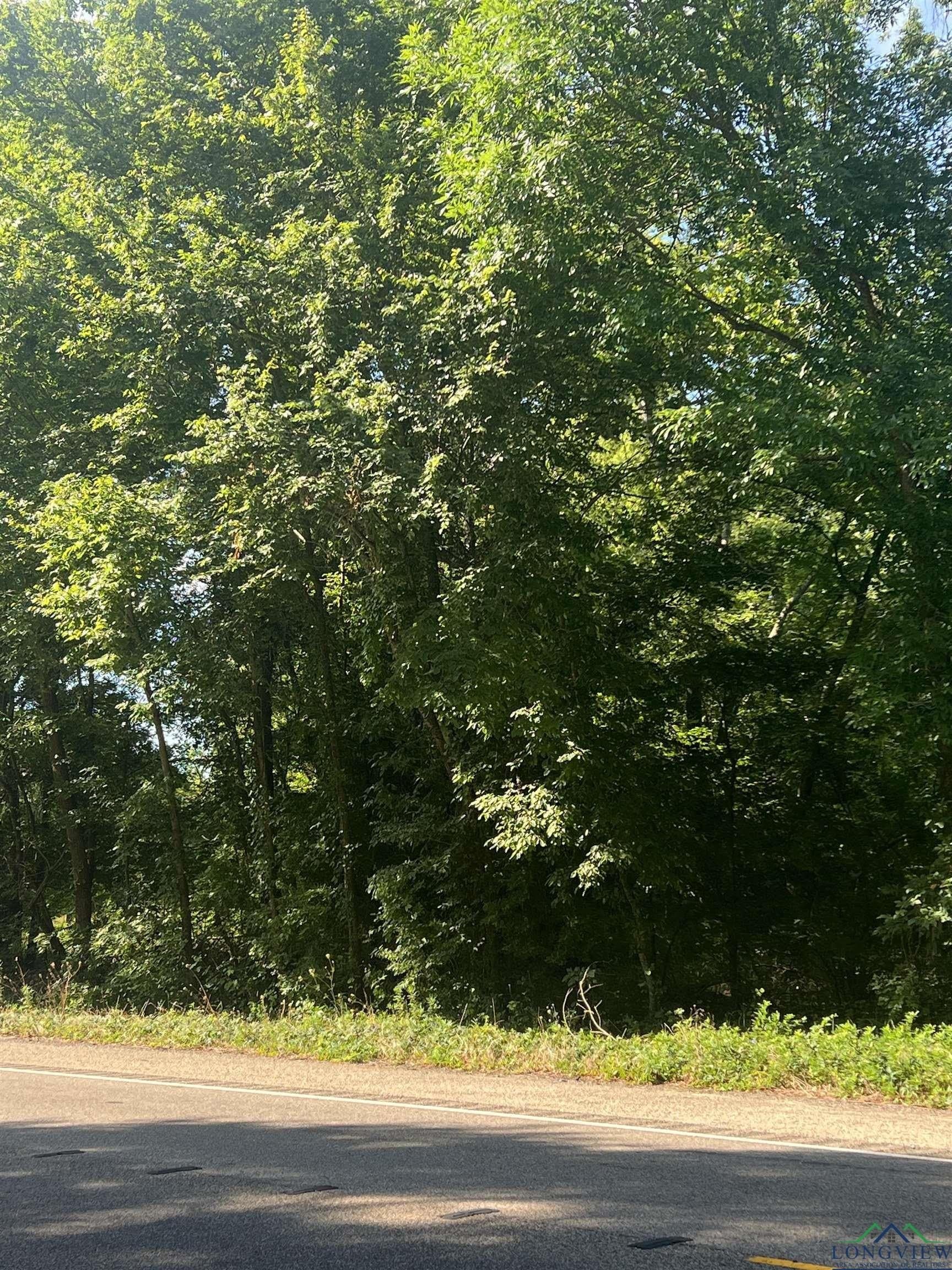 52.63 acres in Titus County - photo 2