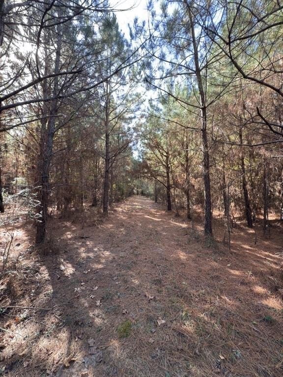 71.5 acres in Harrison County - photo 26