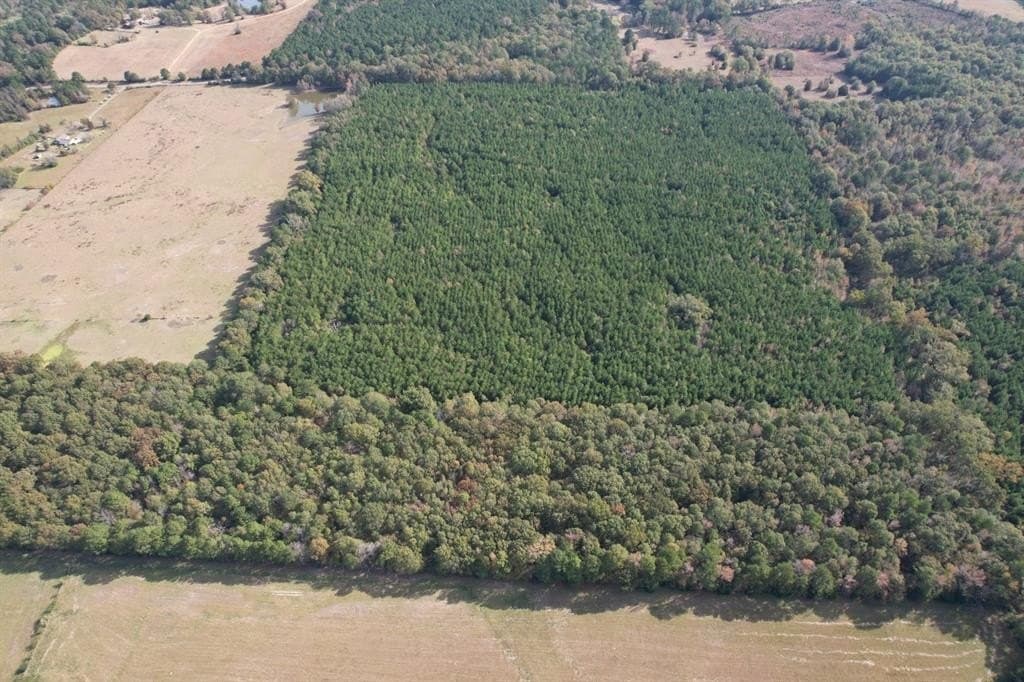 71.5 acres in Harrison County - photo 8