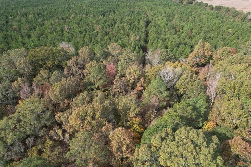 71.5 acres in Harrison County - photo 5