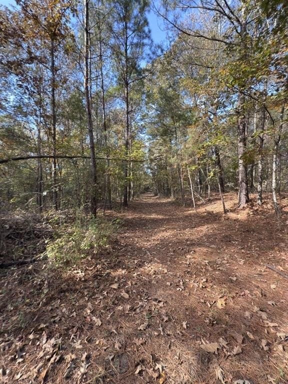 71.5 acres in Harrison County - photo 16