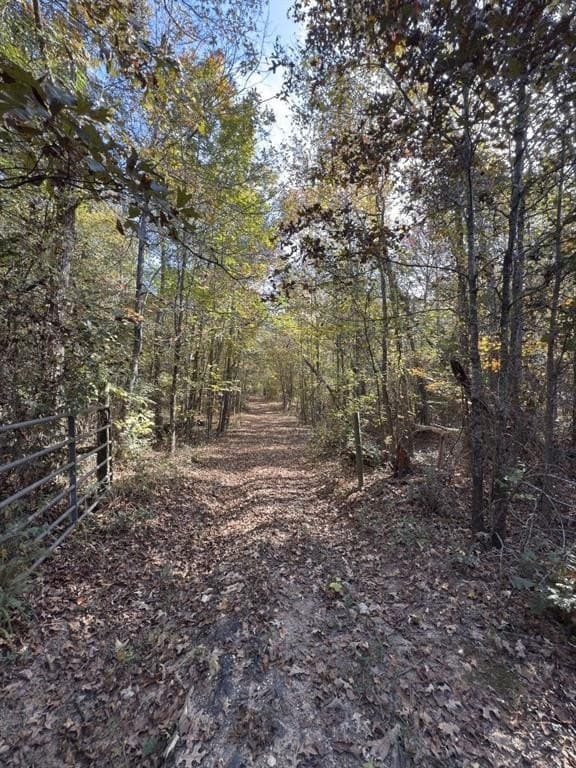 71.5 acres in Harrison County - photo 21