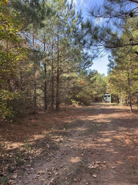 71.5 acres in Harrison County - photo 24