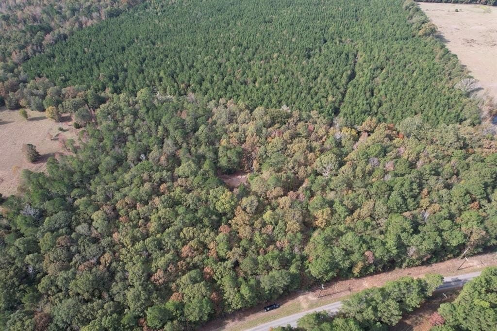 71.5 acres in Harrison County - photo 3
