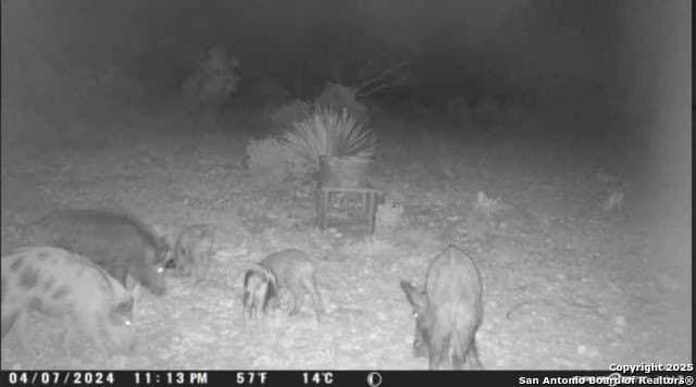 100 acres in Crockett County - photo 22