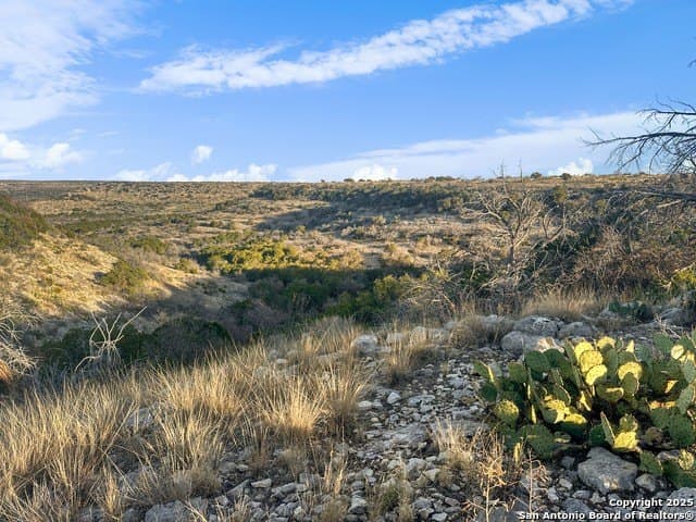 100 acres in Crockett County - photo 2