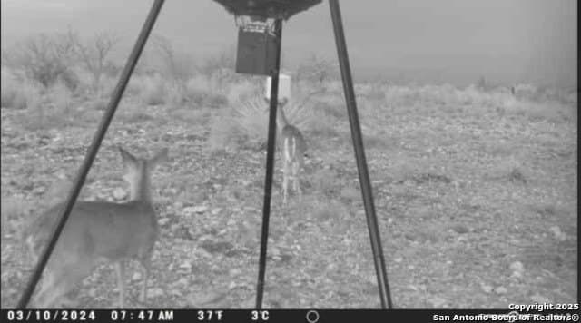 100 acres in Crockett County - photo 23