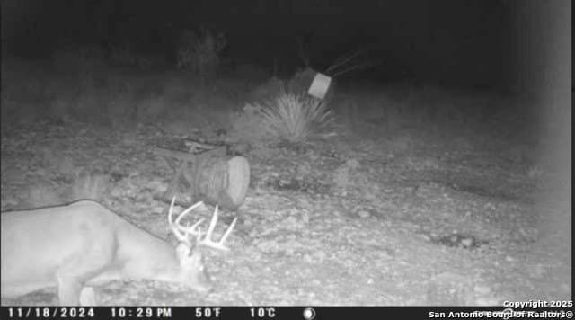 100 acres in Crockett County - photo 24
