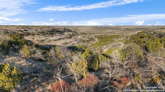 100 acres in Crockett County - photo 3