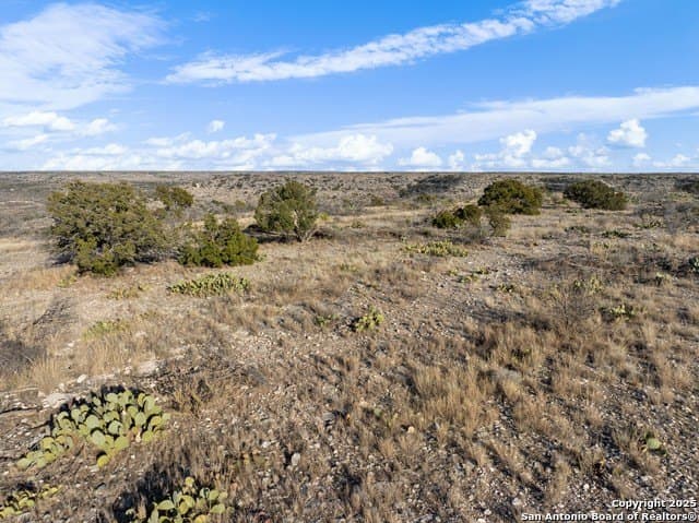 100 acres in Crockett County - photo 10