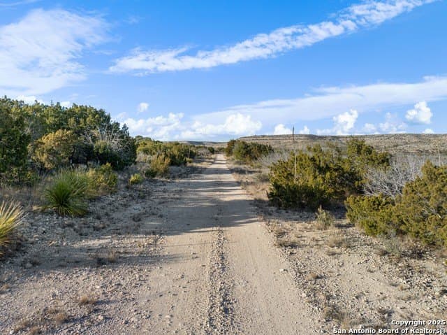 100 acres in Crockett County - photo 6