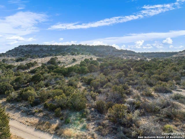 100 acres in Crockett County - photo 20