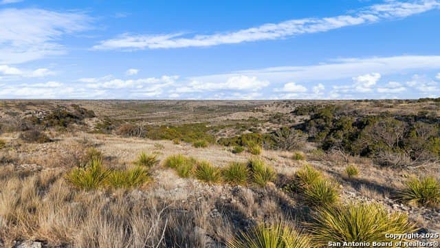 100 acres in Crockett County - photo 18
