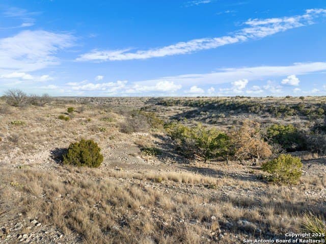 100 acres in Crockett County - photo 14