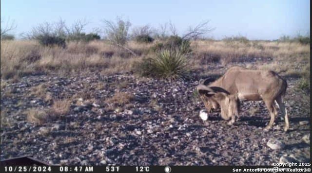 100 acres in Crockett County - photo 28