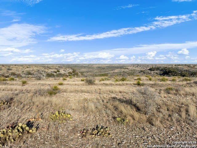 100 acres in Crockett County - photo 12