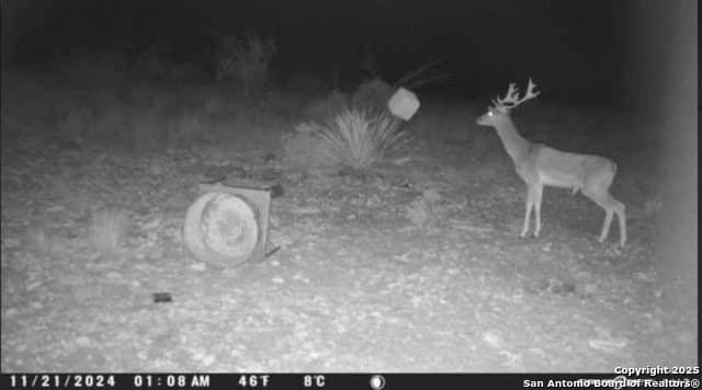 100 acres in Crockett County - photo 26