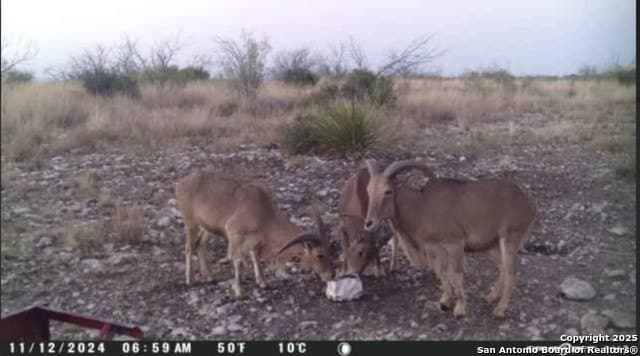 100 acres in Crockett County - photo 25