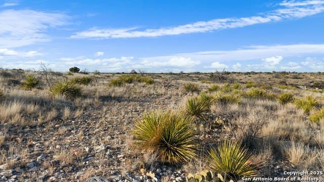 100 acres in Crockett County - photo 7