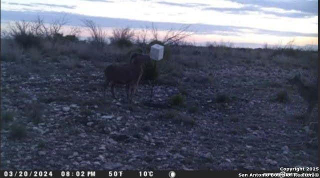 100 acres in Crockett County - photo 27