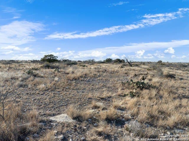 100 acres in Crockett County - photo 8