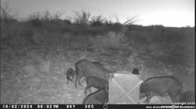 100 acres in Crockett County - photo 29