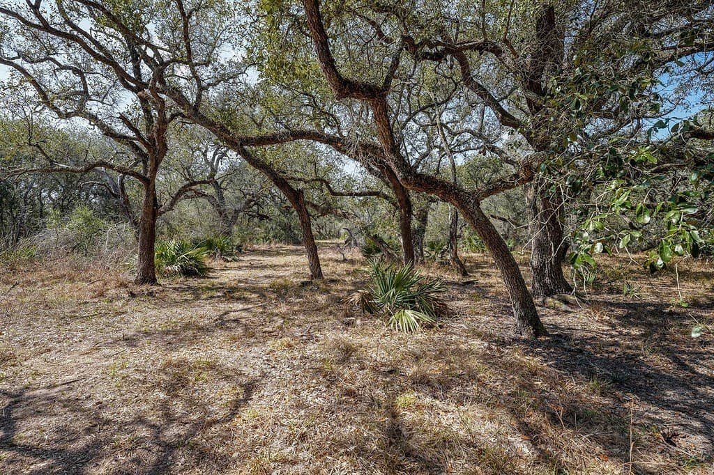 306.03 acres in Wharton County - photo 25
