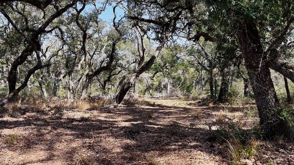 306.03 acres in Wharton County - photo 12