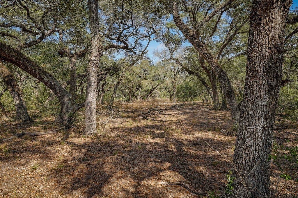 306.03 acres in Wharton County - photo 18