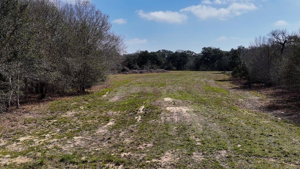 306.03 acres in Wharton County - photo 9