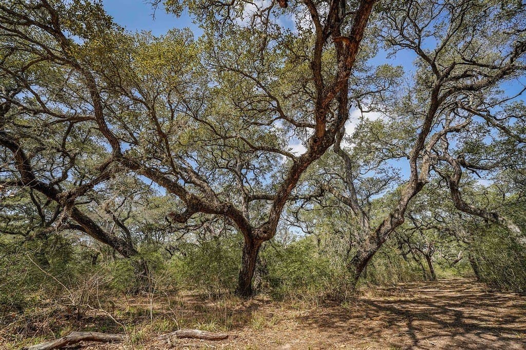 306.03 acres in Wharton County - photo 20