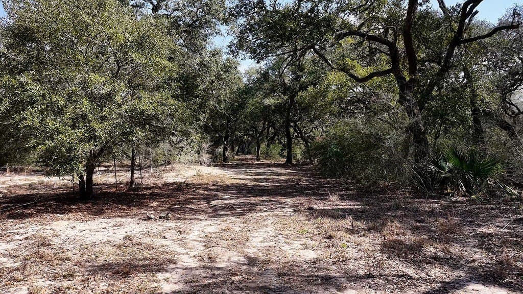 306.03 acres in Wharton County - photo 10