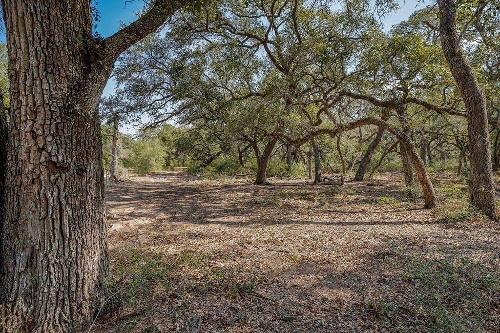 306.03 acres in Wharton County - photo 17