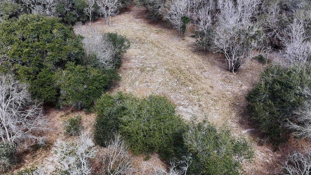 306.03 acres in Wharton County - photo 8